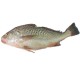 Fish Red Rroaker fish 1kg