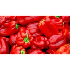 Red fresh Pepper
